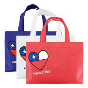 Bolsa Valparaíso