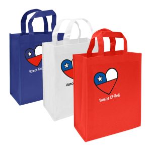 Bolsa Frutillar