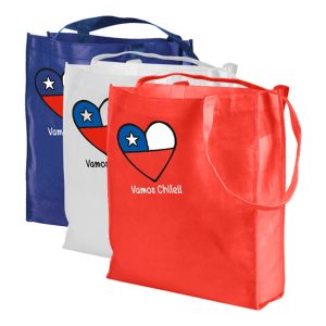 Bolsa Puyehue