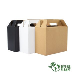Caja Berna